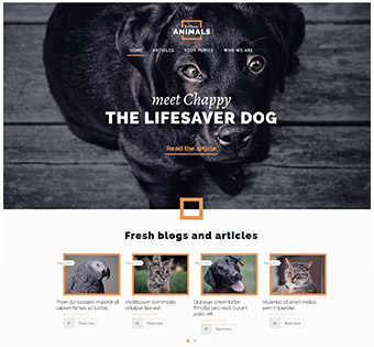 Izrada web stranica životinje